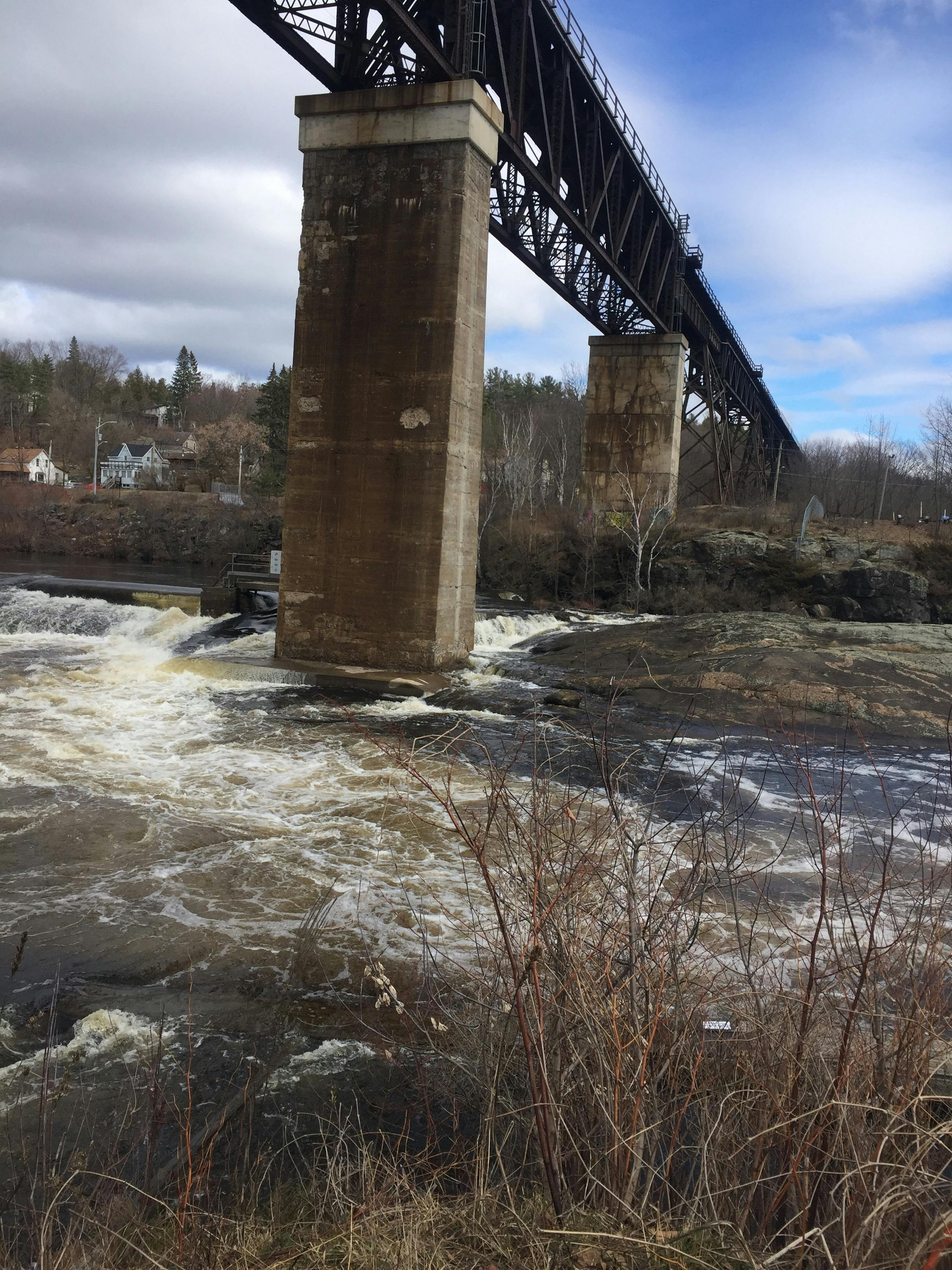 Peter Scully Fotografie