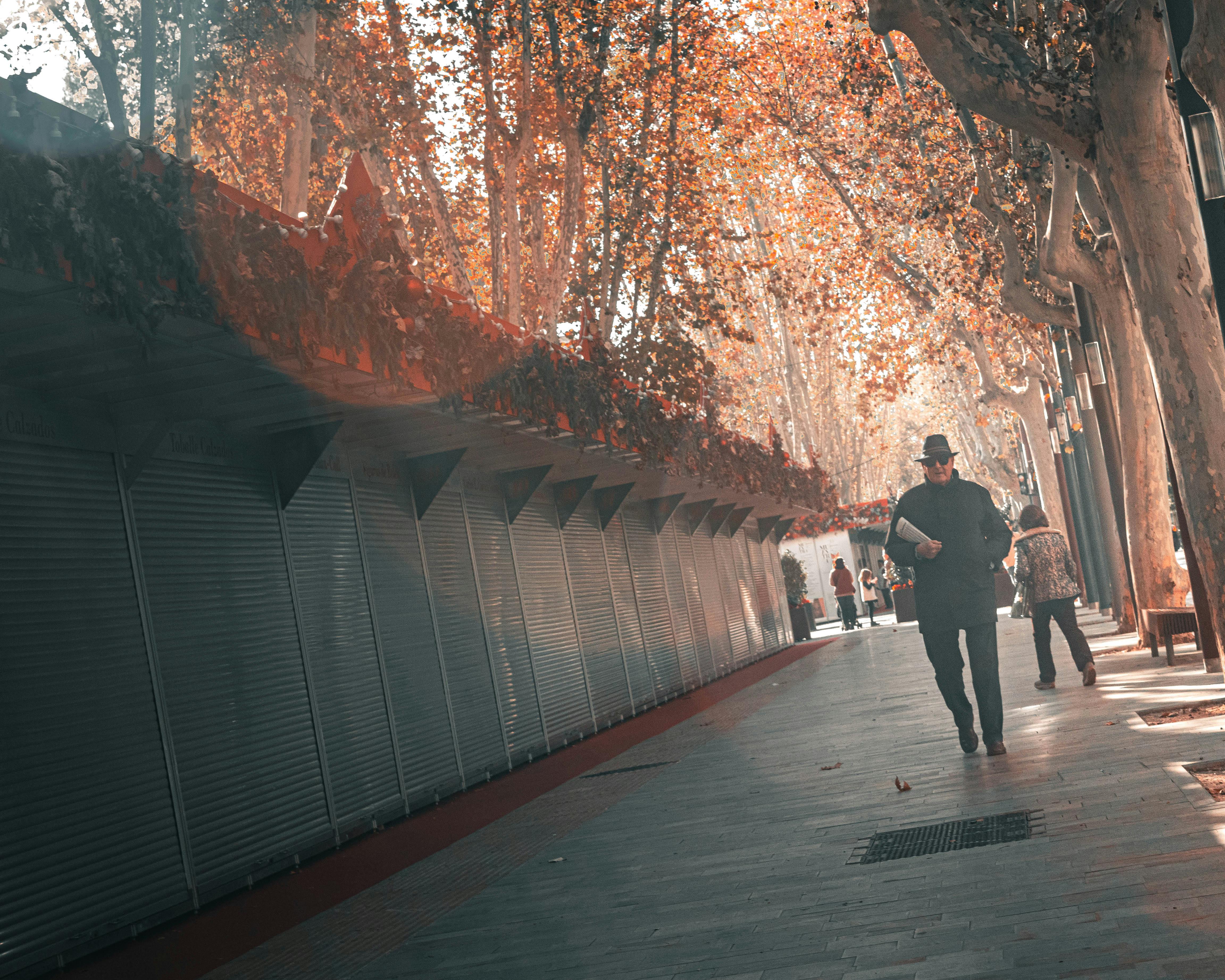Man walking in an urban alley surrounded by autumn foliage and soft sunlight.