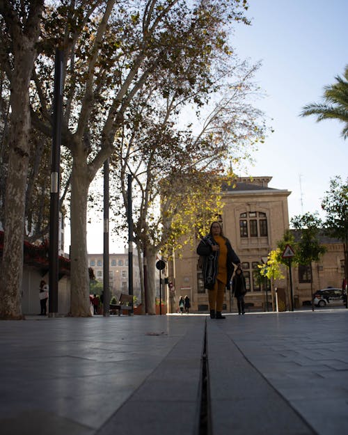 Free Full body plump female in casual clothes standing on sidewalk near trees in morning on city street Stock Photo