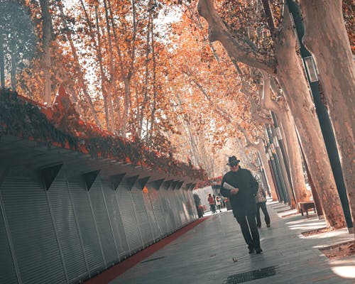 Free Full body mature man with newspaper walking on pavement near fence and trees in autumn morning in city Stock Photo