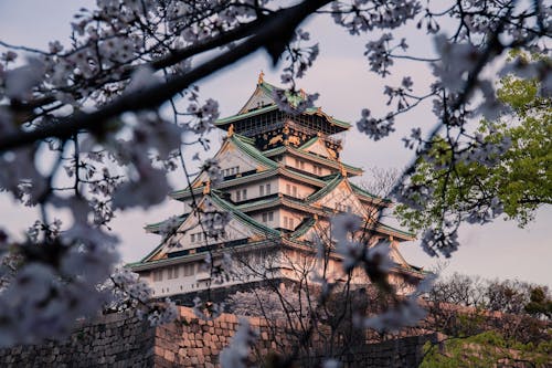 Free Osaka Castle Stock Photo