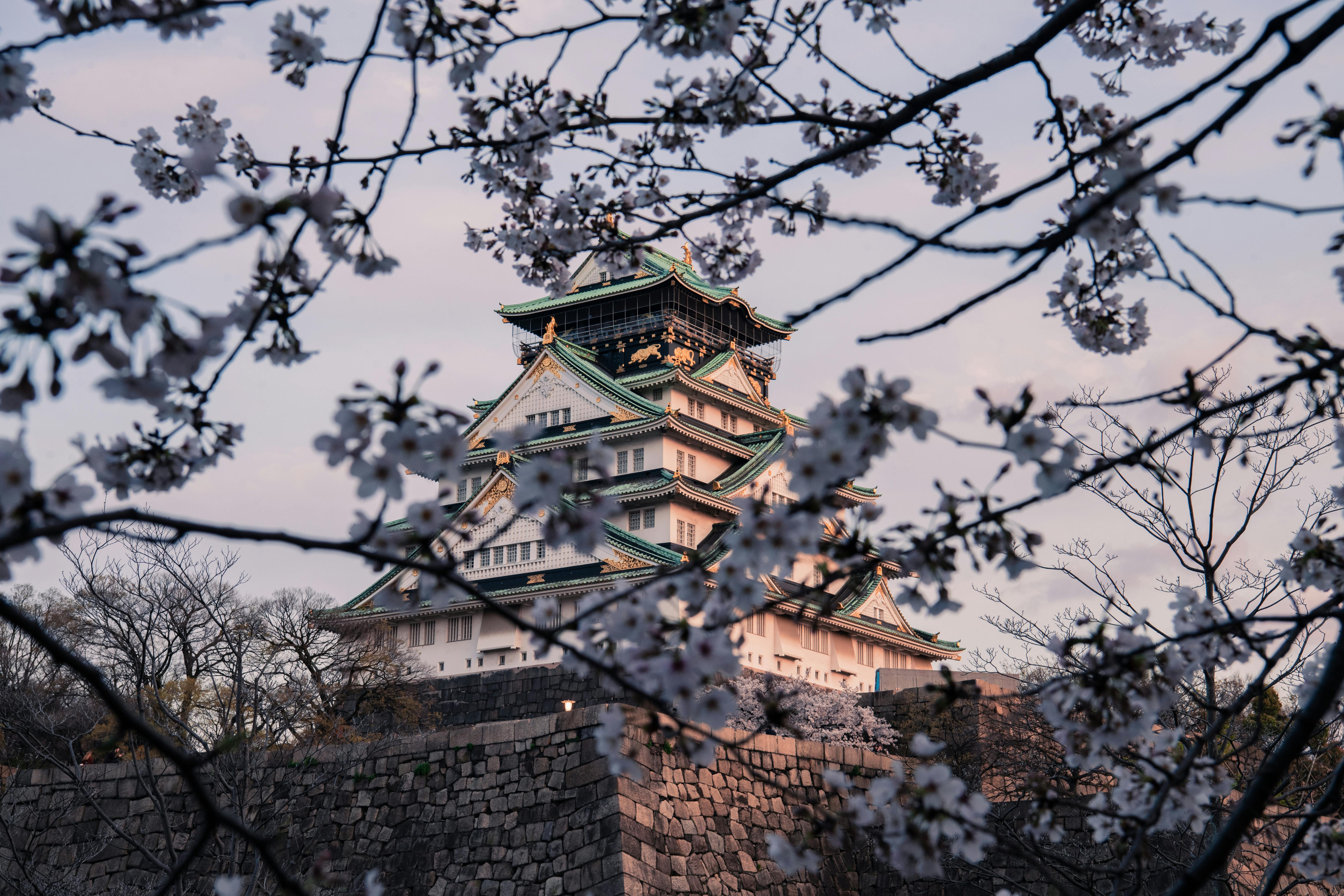 Osaka Castle Under Blue Sky · Free Stock Photo