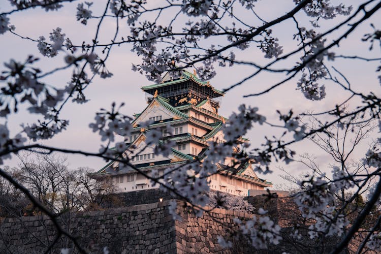 Osaka Castle Under Blue Sky