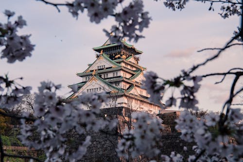 Wit En Groen Osaka Castle