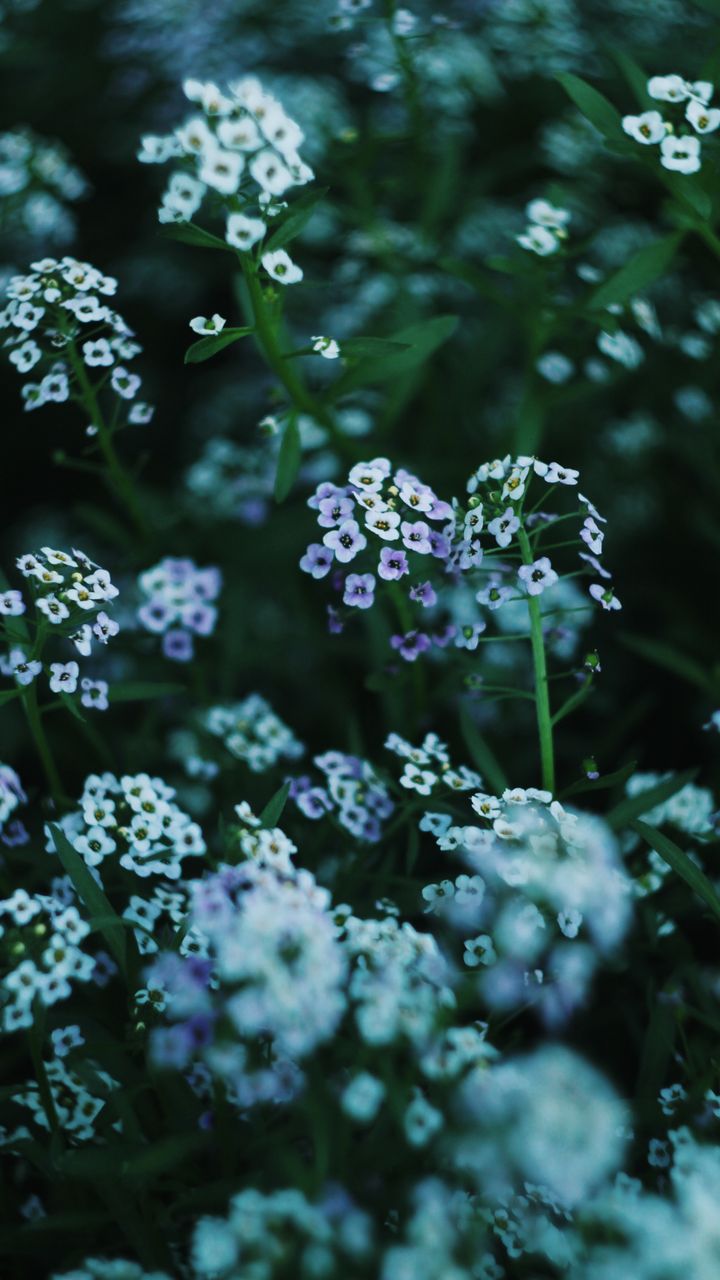 Use Soft, Muted Color Palettes