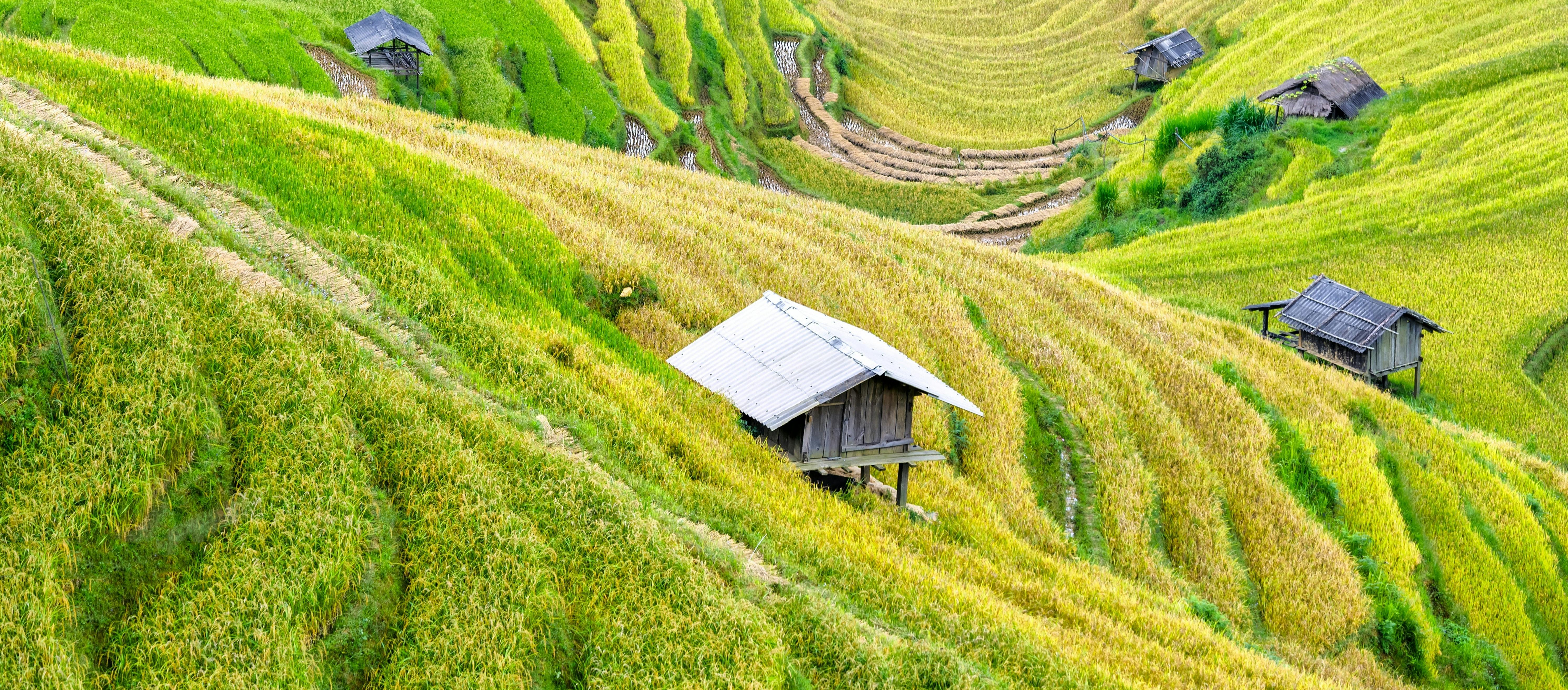 武汉银行如何用肇新智能文档比对在不出网的前提下完成合同版本校对