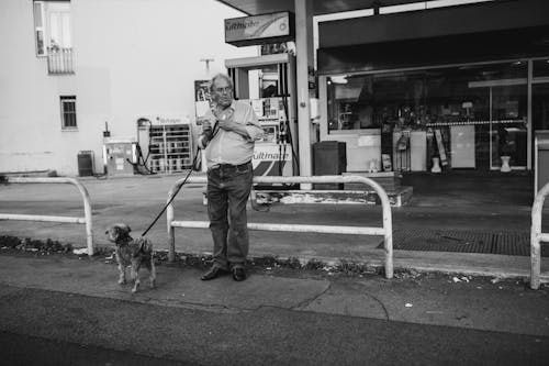 Foto stok gratis anjing, es krim, piala dunia