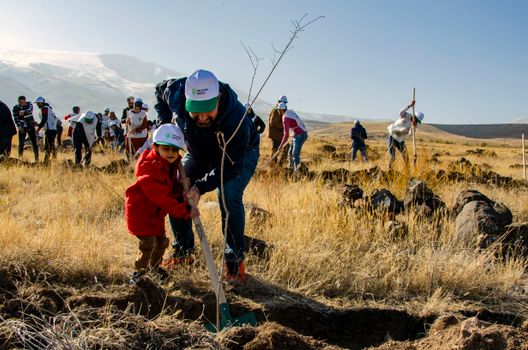 Volunteers plant trees in an arid climate, promoting reforestation and environmental conservation.