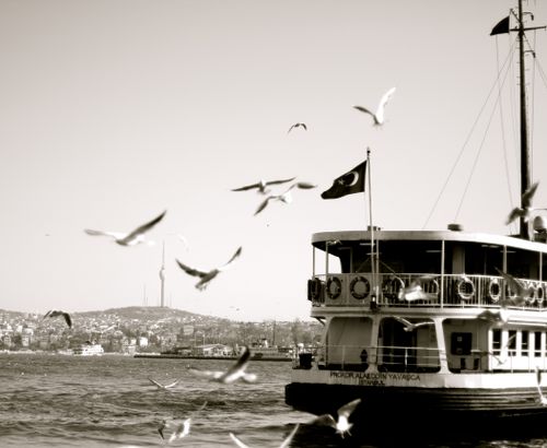 Free Black and white photo of a ferry on the Bosphorus with seagulls and the Istanbul skyline. Stock Photo