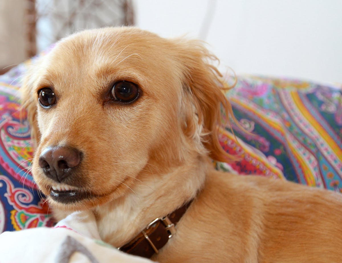 Pessoa contemplando natureza integrando corpo e mente para bem-estar sistêmico