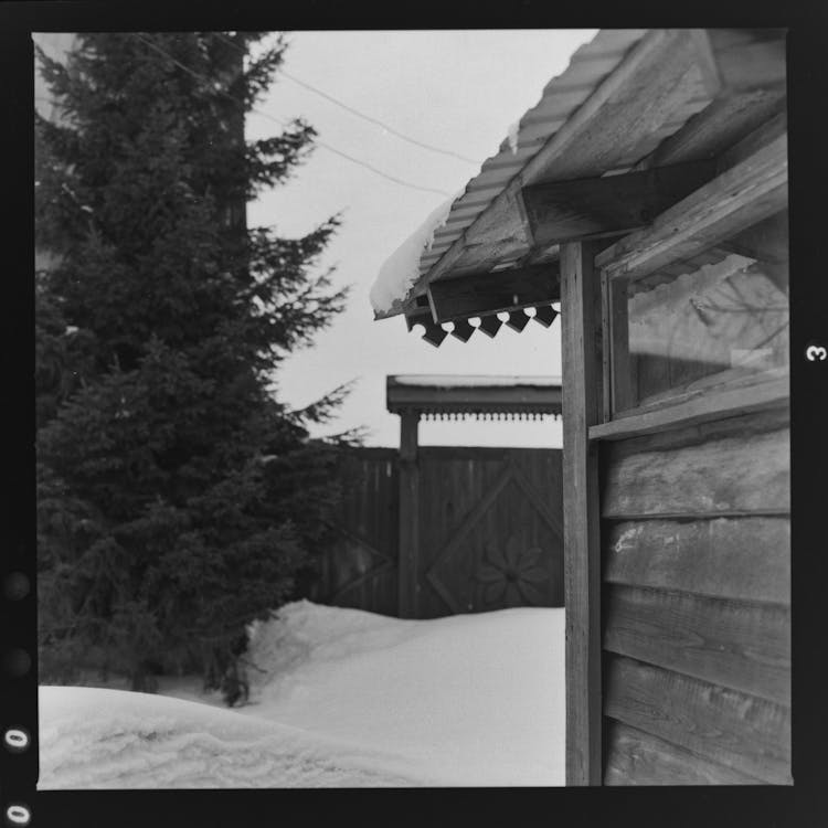 Snowy yard on winter day in village