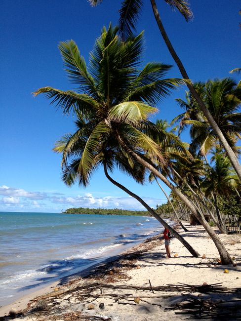 Samaná, Dominican Republic digital nomad city guide