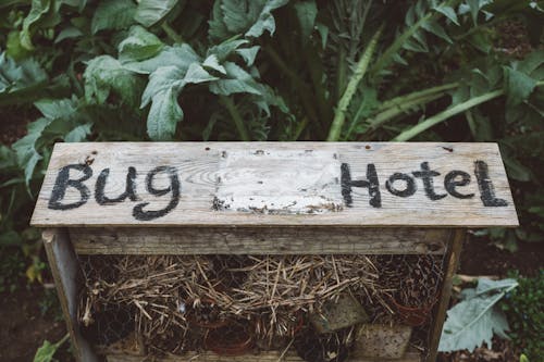 Δωρεάν στοκ φωτογραφιών με bug hotel, grunge, αγροτικός