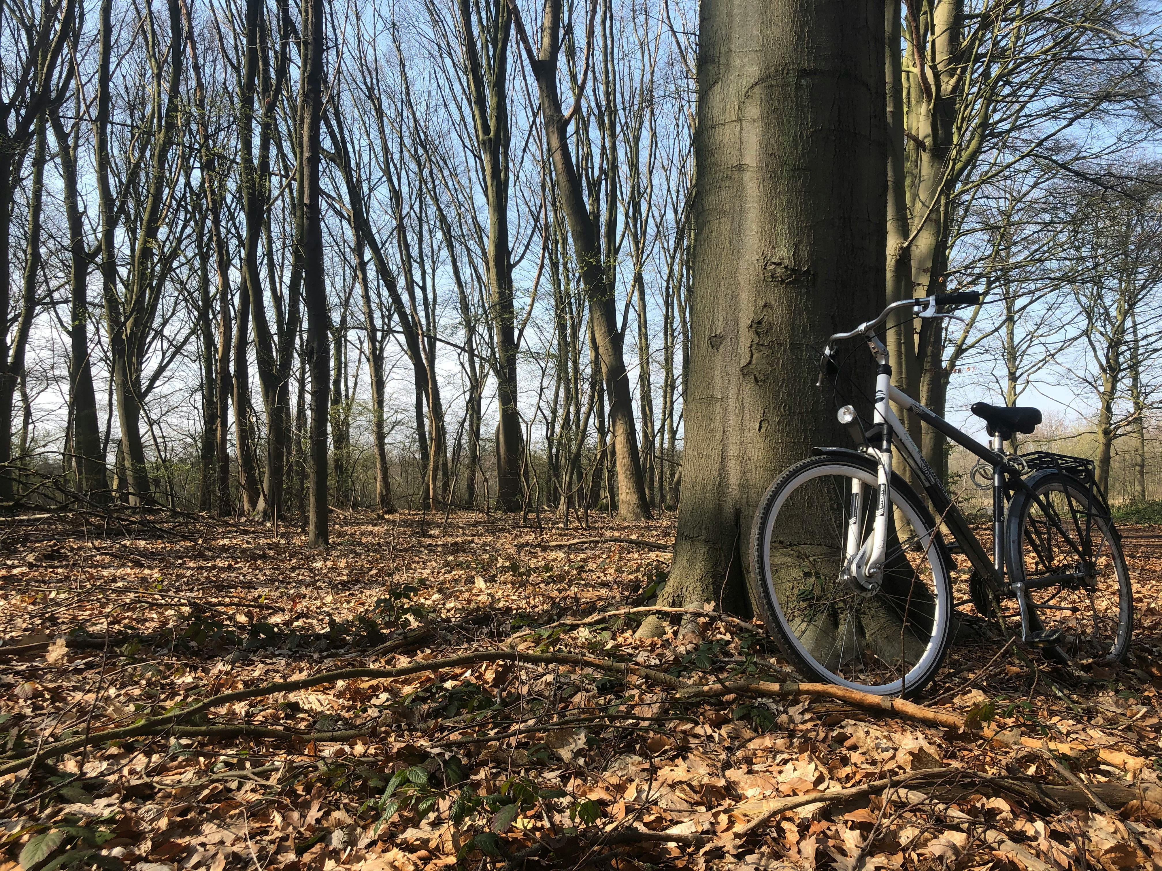 Ilustrasi kuota internet dan smartphone