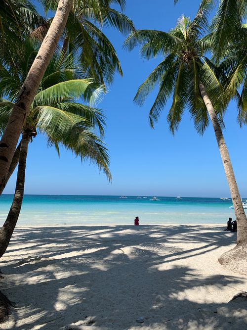 Free Idyllic tropical beach scene with palm trees, blue sea, and clear sky. Stock Photo