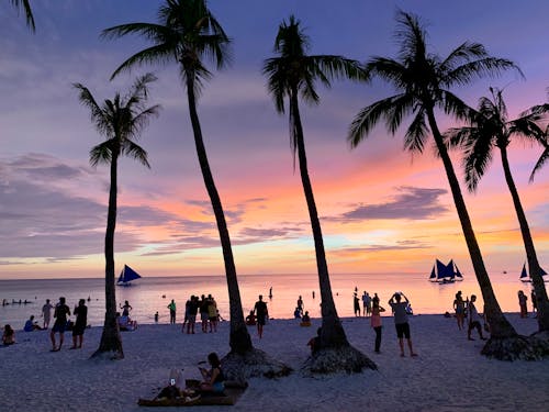 Crowd on beach at sunset