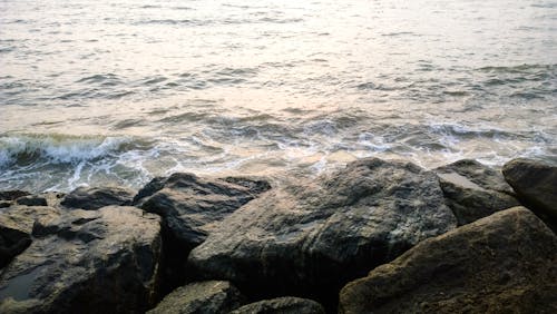 Free stock photo of beach, landscape, nature