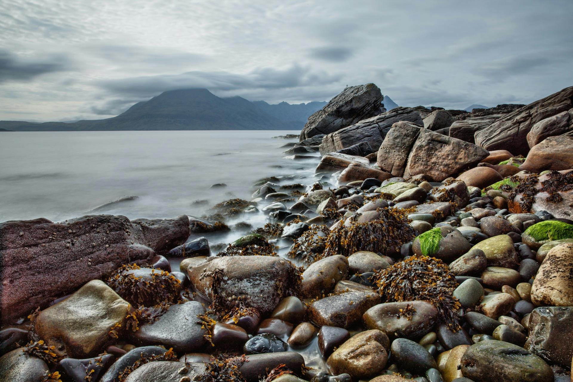 170+ Fake Seaweed Photos Stock Photos, Pictures & Royalty-Free