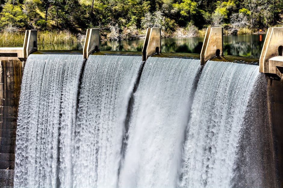 river ecosystem upstream and downstream of a dam - Hydropower environmental impact river ecosystem upstream and downstream of a dam - Hydropower environmental impact