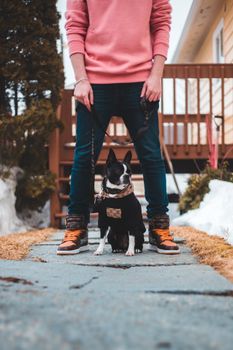一只法国斗牛犬和它的主人在冬日场景中一起摆姿势，展现时尚与友谊