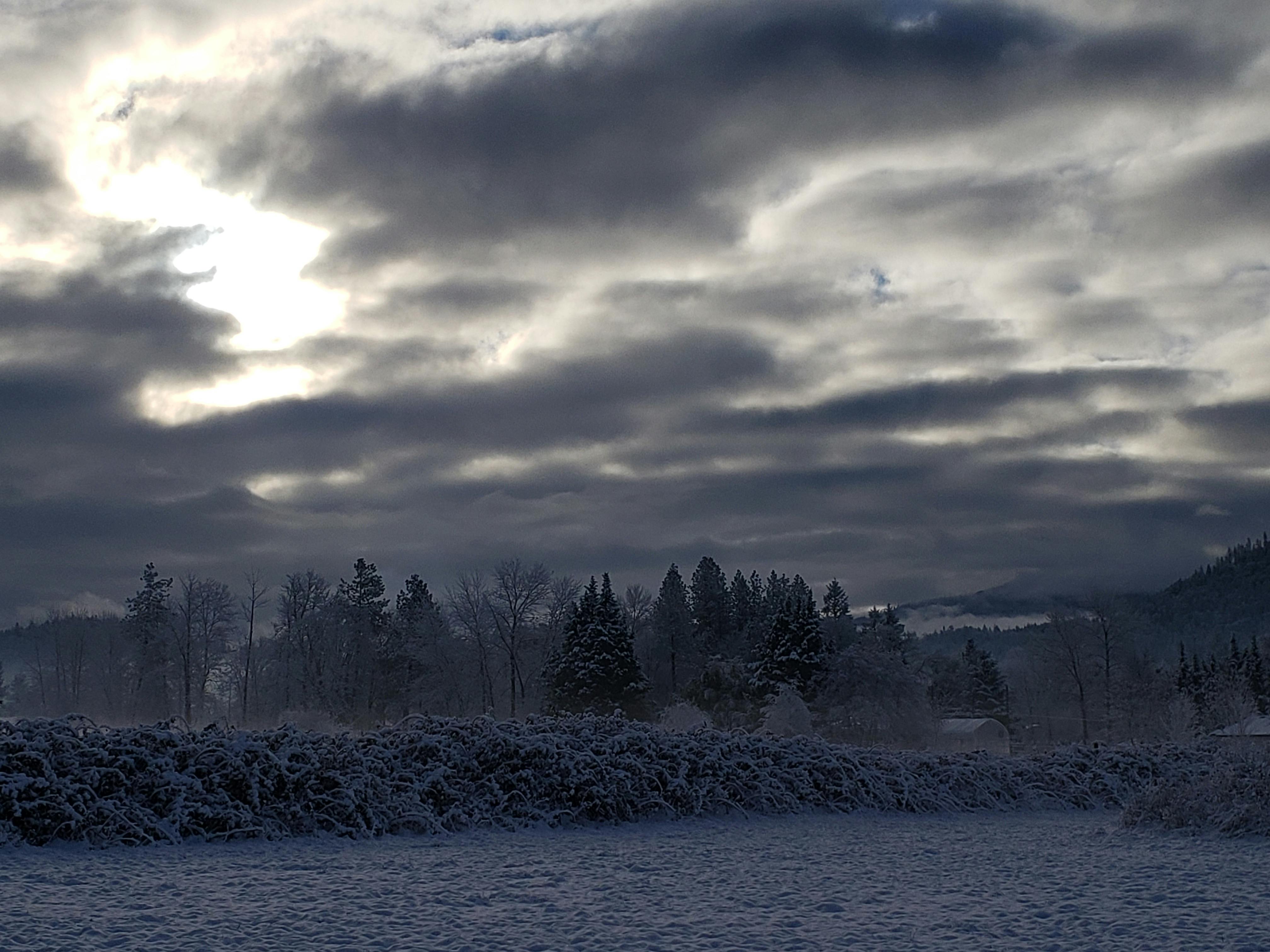 Person editing video timelines on a computer screen