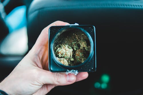 Free Crop person showing box with weed Stock Photo