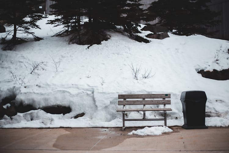 Lonely Bench And Bin In Winter Park