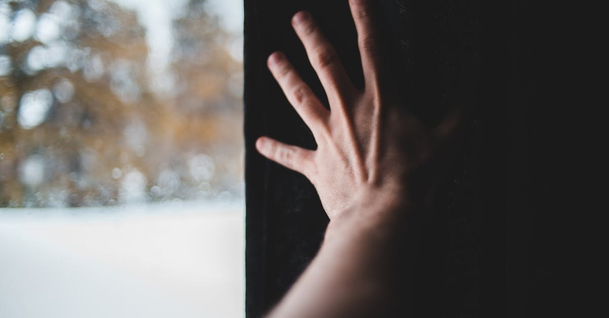 How to freeze fresh carrots at home