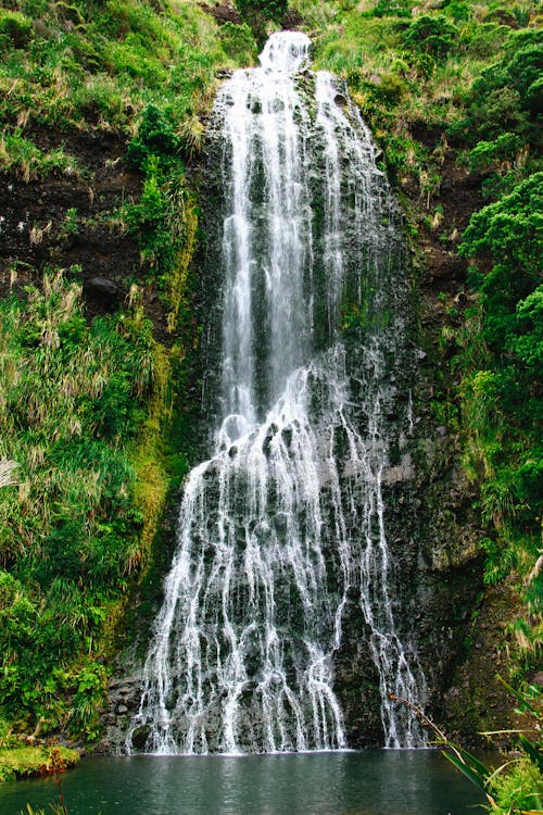 Waterfalls in the Middle of the Forest