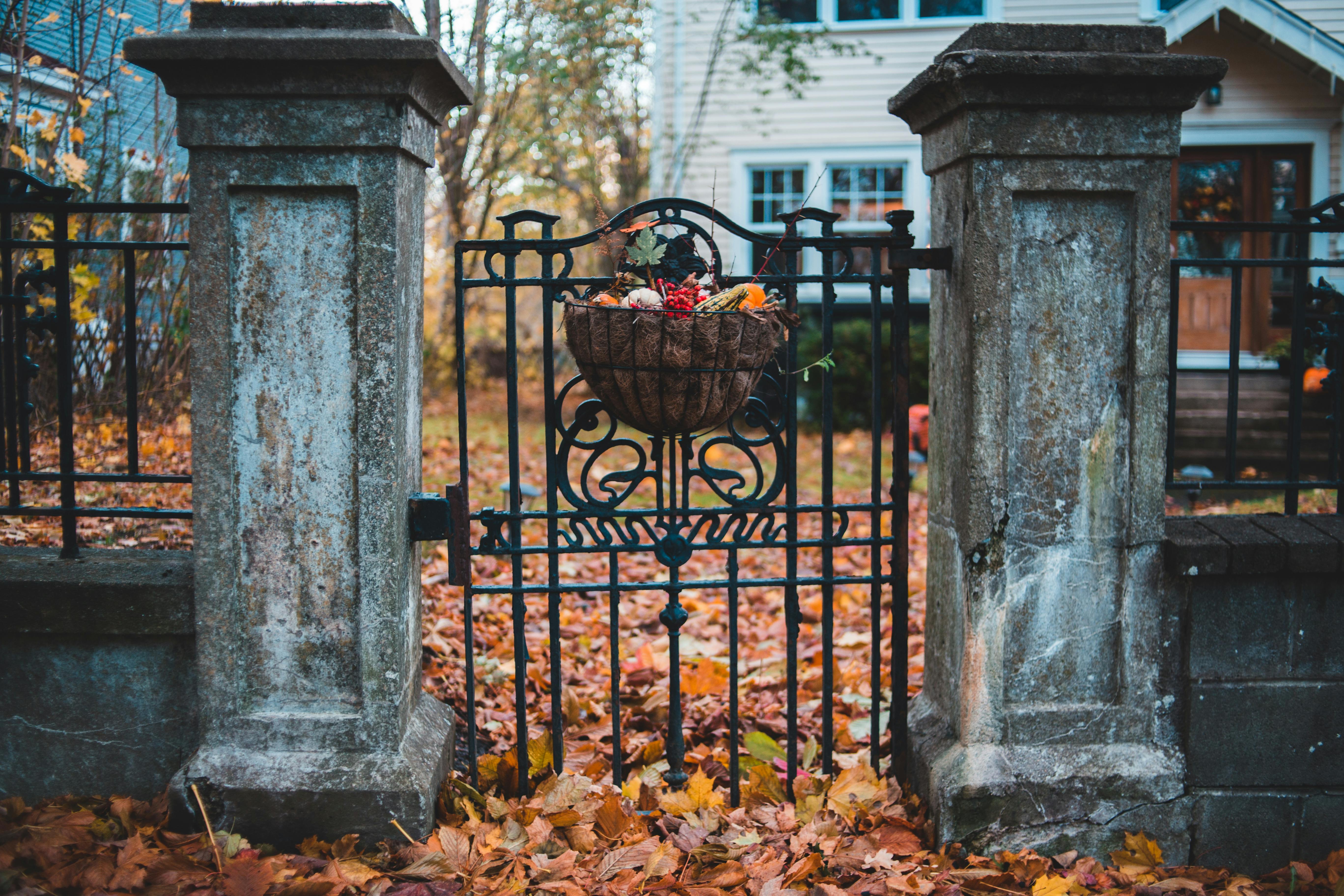 The Energy Vampires Haunting Your Home — Photo by Erik Mclean on Pexels