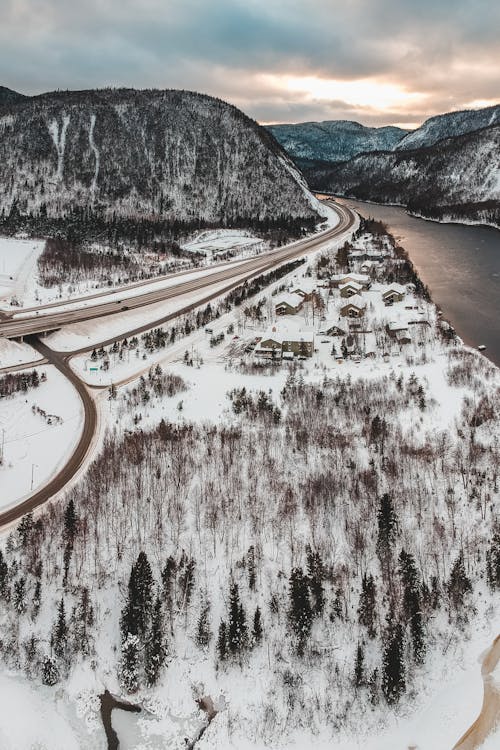 Photos gratuites de arbres, autoroute, couvert de neige