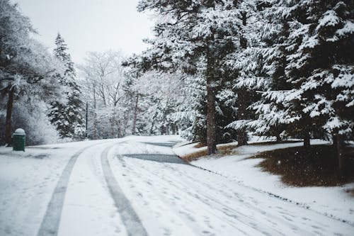下雪的, 下雪的天氣, 冬季 的 免费素材图片