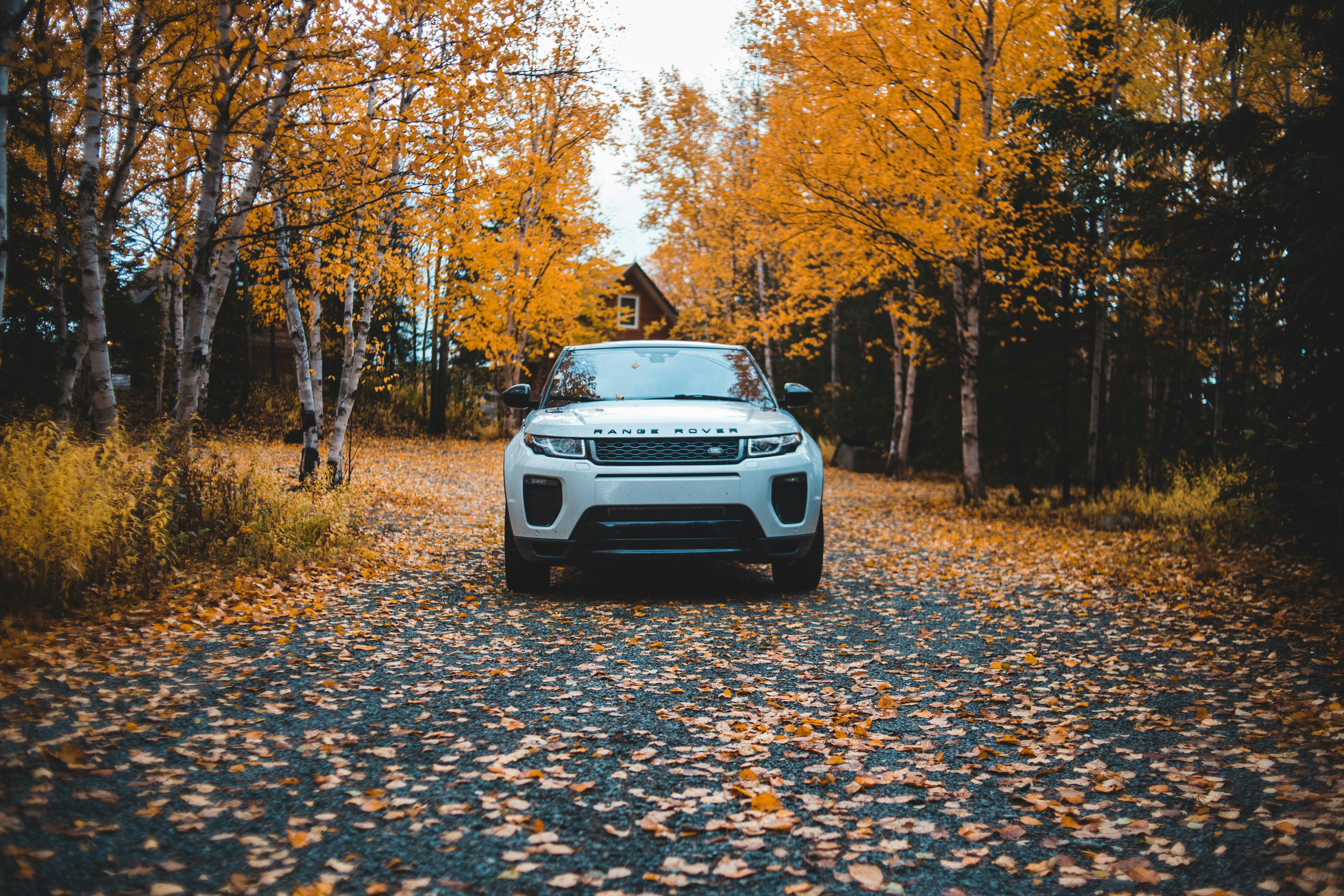 Range Rover Photos Download The BEST Free Range Rover Stock Photos  HD  Images