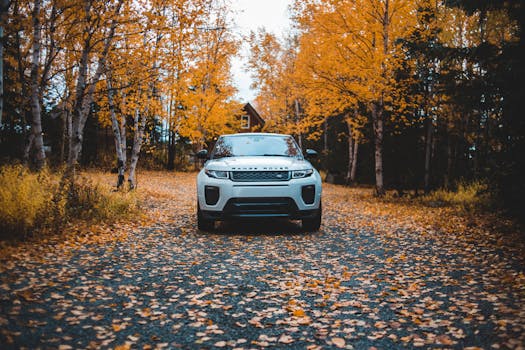 A white Range Rover parked on a forest driveway covered with autumn leaves.