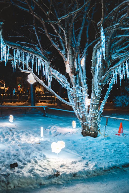 Tree with String Lights