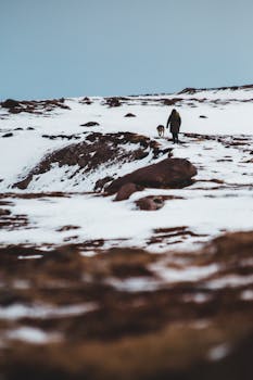 A person hiking with a dog on a snowy hill, exploring a winter landscape.