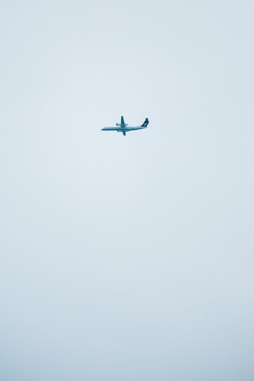 From below of contemporary design aircraft with metal wings and tail flying in serene sky in daylight