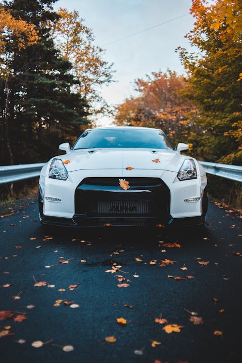 Contemporary car with shiny headlights and windshield driving on asphalt roadway with colorful leaves between concrete fence and growing trees in rural zone in fall