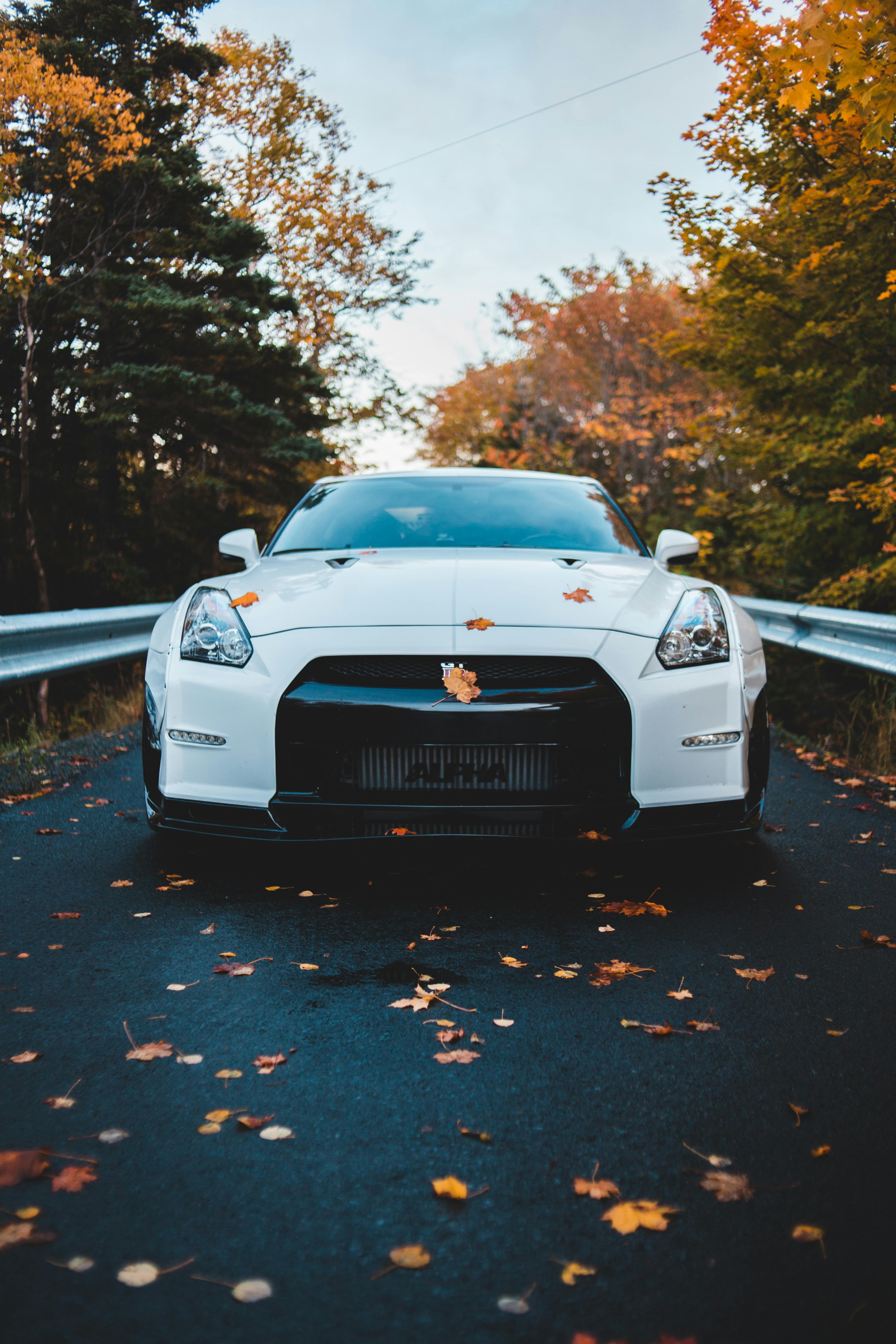 New sport car driving on road in countryside in autumn · Free Stock Photo