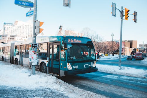 Kostnadsfri bild av bil, buss, busshållplats