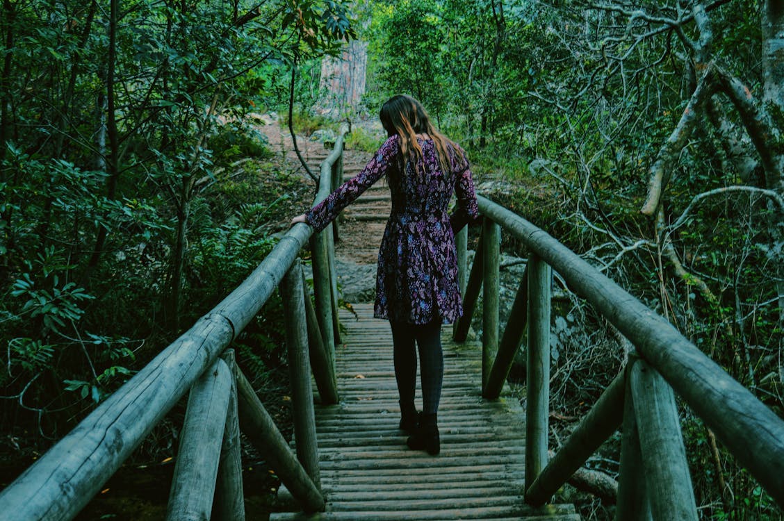 Fotos de stock gratuitas de al aire libre, arboles, bambú