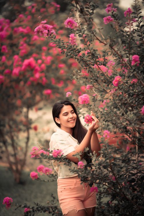 Woman in White Shirt Holding Pink Flowers · Free Stock Photo