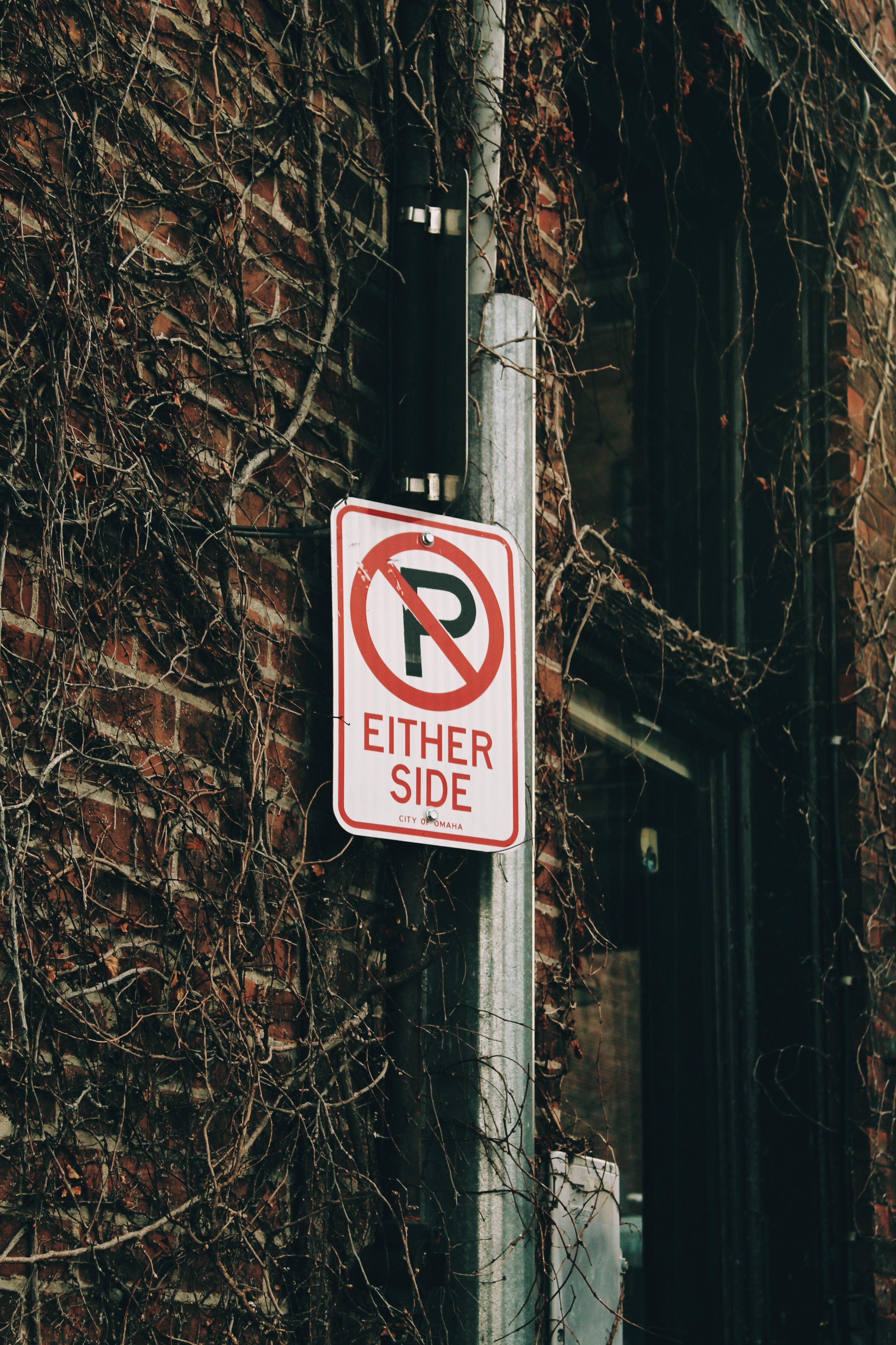 Brick wall with no parking sign surrounded by vines, creating a vintage street vibe.
