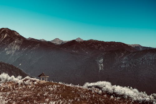 açık hava, çardak, çim içeren Ücretsiz stok fotoğraf