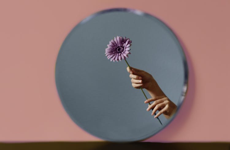 Person Holding Purple Flower