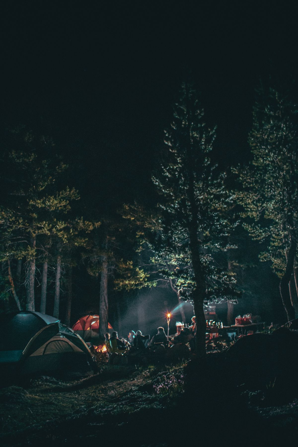 Campers gathered around a campfire in a forest at night