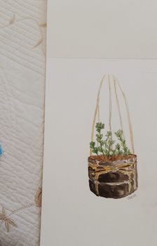 悬挂锅中的多汁植物配有详细的水彩插图