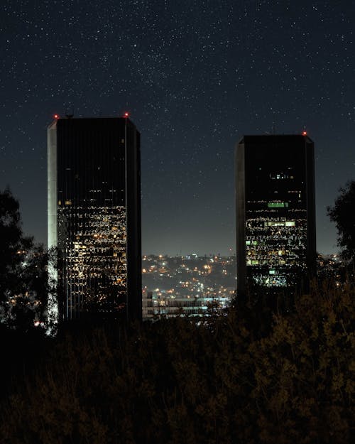 Green trees near buildings located on city street under dark sky at night