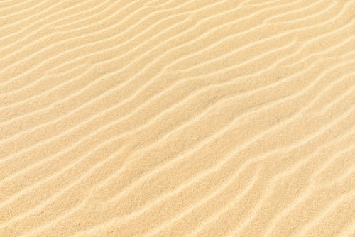 Photo of Sand Dune