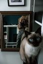 Siamese Cat on Brown Wooden Table
